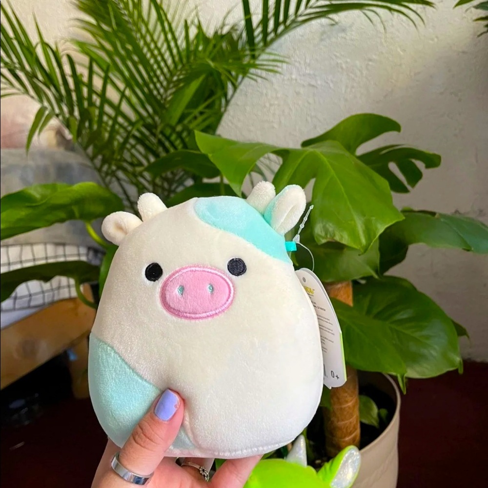 Belana Squishmallow 5” NWT